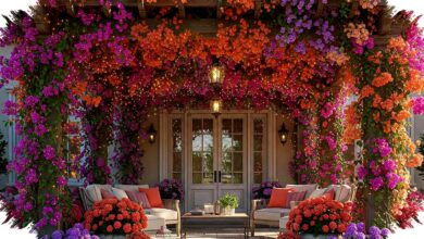 7 Model Teras Rambat Ala Secret Garden, Rumah Langsung Lebih Romantis dan Privasi Kian Rapat