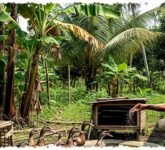 7 Usaha Pensiunan yang Tak Perlu Banyak Tenaga, Modal Kecil tapi Perputaran Uangnya Cepat