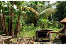 7 Usaha Pensiunan yang Tak Perlu Banyak Tenaga, Modal Kecil tapi Perputaran Uangnya Cepat