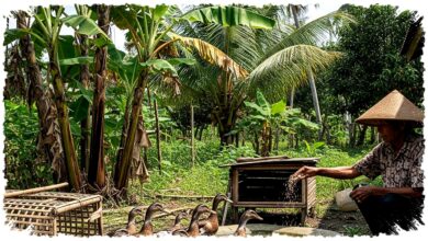 7 Usaha Pensiunan yang Tak Perlu Banyak Tenaga, Modal Kecil tapi Perputaran Uangnya Cepat