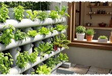 8 Ide Hidroponik Gantung di Dapur, Solusi Lahan Sempit agar Masak Tinggal Petik Sayur Segar