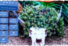 8 TV 4K Terbaik Untuk Bioskop Di Rumah, Visual Gila Dari OLED Hingga Mini LED