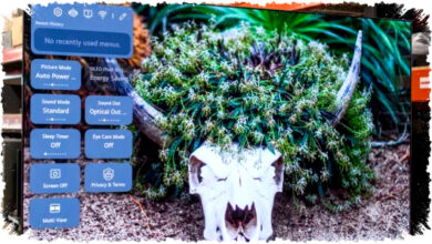 8 TV 4K Terbaik Untuk Bioskop Di Rumah, Visual Gila Dari OLED Hingga Mini LED