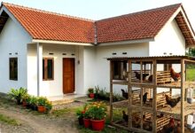 9 Model Kandang Ayam Modern Ini Menjawab Masalah Lahan Sempit, Hemat Tempat dan Minim Bau