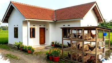 9 Model Kandang Ayam Modern Ini Menjawab Masalah Lahan Sempit, Hemat Tempat dan Minim Bau