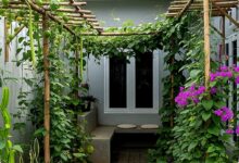 9 Model Kebun Permakultur untuk Rumah Sempit, Sudut Kecil pun Bisa Jadi Sumber Pangan