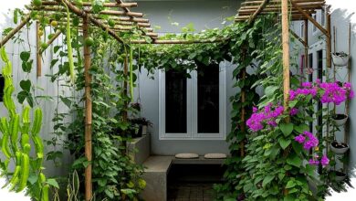 9 Model Kebun Permakultur untuk Rumah Sempit, Sudut Kecil pun Bisa Jadi Sumber Pangan