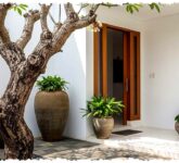 9 Pohon Mini Ini Lebih Aman untuk Pondasi, Halaman Sempit Tetap Sejuk dan Asri