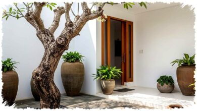 9 Pohon Mini Ini Lebih Aman untuk Pondasi, Halaman Sempit Tetap Sejuk dan Asri