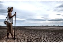 Agustus Jadi Puncak Kemarau di 70 Persen Jatim, BMKG Juanda Siapkan Antisipasi Kekeringan