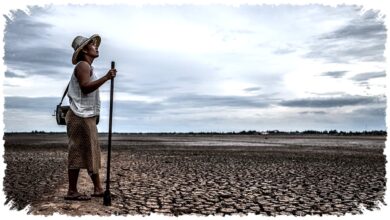 Agustus Jadi Puncak Kemarau di 70 Persen Jatim, BMKG Juanda Siapkan Antisipasi Kekeringan