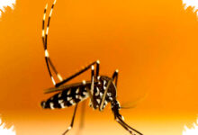 Alert DBD di Sumsel, Empat Nyawa Melayang Saat Kasus Masih Meningkat