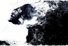 Antartika Mendadak Menghijau, Sinyal Apa dari Samudra Selatan?