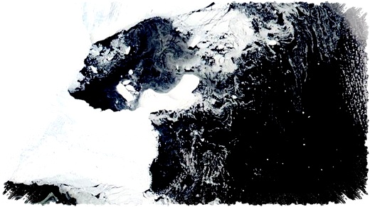 Antartika Mendadak Menghijau, Sinyal Apa dari Samudra Selatan? Antartika Mendadak Menghijau, Sinyal Apa dari Samudra Selatan?