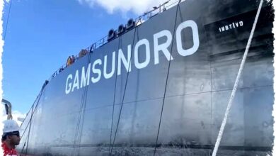 Anwar Ungkap Telepon Langsung ke Iran, Kapal Malaysia Lolos Selat Hormuz