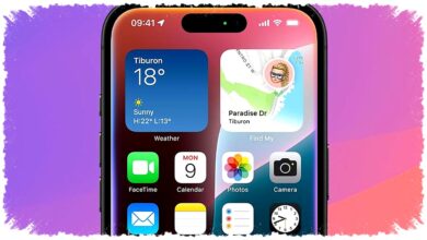 Apple Buka Siri Untuk Chatbot AI Pihak Ketiga, iPhone Bisa Jadi Lebih Rentan