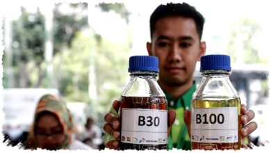 B50 Berlaku 1 Juli 2026, Negara Klaim Hemat Rp48 Triliun dan Kurangi Fosil 4 Juta Kl