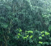 BMKG Minta Jabar, Jateng, Papua Pegunungan Siaga, Hujan Lebat Mengancam Jumat Ini