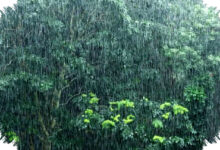 BMKG Minta Jabar, Jateng, Papua Pegunungan Siaga, Hujan Lebat Mengancam Jumat Ini