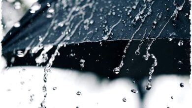 BMKG Peringatkan Hujan Lebat Sejauh Jawa hingga Papua, Warga Diminta Waspada Bencana BMKG Peringatkan Hujan Lebat Sejauh Jawa hingga Papua, Warga Diminta Waspada Bencana