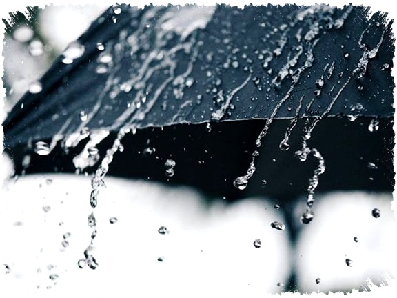 BMKG Peringatkan Hujan Lebat Sejauh Jawa hingga Papua, Warga Diminta Waspada Bencana BMKG Peringatkan Hujan Lebat Sejauh Jawa hingga Papua, Warga Diminta Waspada Bencana