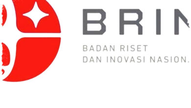 BRIN Pakai AI Untuk Simulasi Gelombang Laut, Riset Maritim Kini Tak Perlu Ke Tengah Laut