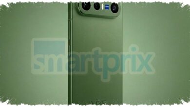 Bocoran Vivo X300 FE Hijau Muncul, Warna Baru Ini Jadi Pembeda Paling Tegas