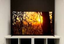 Bravia Inc Mulai Terbentuk, Masa Depan TV OLED Sony Terancam?