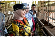 Bupati Kendal Sidak Kandang Kambing, Cek Kesiapan Hewan Kurban Menjelang Iduladha Bupati Kendal Sidak Kandang Kambing, Cek Kesiapan Hewan Kurban Menjelang Iduladha