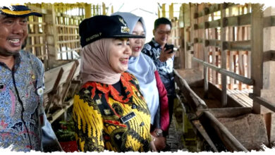 Bupati Kendal Sidak Kandang Kambing, Cek Kesiapan Hewan Kurban Menjelang Iduladha Bupati Kendal Sidak Kandang Kambing, Cek Kesiapan Hewan Kurban Menjelang Iduladha