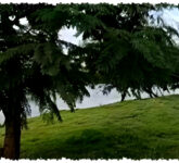 Bye-Bye Video Goyang, Nokia 8.3 5G Buktikan Stabil Tanpa Gimbal