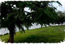 Bye-Bye Video Goyang, Nokia 8.3 5G Buktikan Stabil Tanpa Gimbal