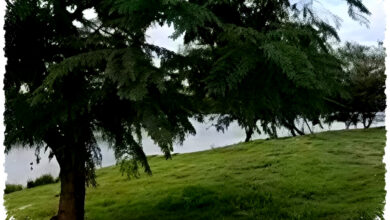 Bye-Bye Video Goyang, Nokia 8.3 5G Buktikan Stabil Tanpa Gimbal