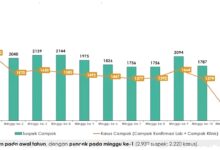 Campak Turun 93 Persen, Kemenkes Tetap Siaga di 14 Provinsi Prioritas Campak Turun 93 Persen, Kemenkes Tetap Siaga di 14 Provinsi Prioritas