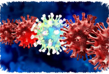 Covid-19 Cicada Kembali Muncul, Ini Gejala Dan Sifatnya Yang Harus Diwaspadai