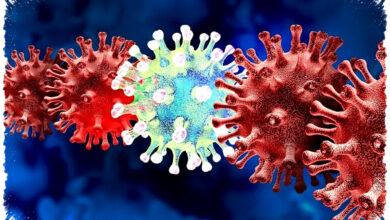 Covid-19 Cicada Kembali Muncul, Ini Gejala Dan Sifatnya Yang Harus Diwaspadai