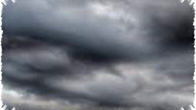 Cuaca Jawa Barat Pagi Masih Tenang, Hujan Siang Ancam Elektronik Anda!