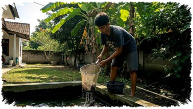 Cuma 2×2 Meter dan Modal Rp100 Ribu, 9 Ternak Ini Panen Kilat tanpa Ribet