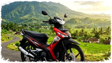 Cuma Modal Rp3 Jutaan, 4 Motor Bekas Ini Irit dan Bandel, Tiger Revo Paling Gagah? Cuma Modal Rp3 Jutaan, 4 Motor Bekas Ini Irit dan Bandel, Tiger Revo Paling Gagah?