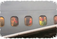 DR Congo Terima Deportan “Negara Ketiga” Dari AS, Kesepakatan Baru Trump Dikebut