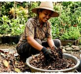 Daun Kering Jangan Dibakar, Bisa Jadi Media Tanam Gratis yang Menahan Air Hingga 50%