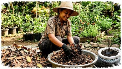 Daun Kering Jangan Dibakar, Bisa Jadi Media Tanam Gratis yang Menahan Air Hingga 50% Daun Kering Jangan Dibakar, Bisa Jadi Media Tanam Gratis yang Menahan Air Hingga 50%