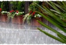 Demak-Klaten Bersiap Diguyur Hujan Lebat, BMKG Ingatkan Risiko Banjir dan Longsor Demak-Klaten Bersiap Diguyur Hujan Lebat, BMKG Ingatkan Risiko Banjir dan Longsor