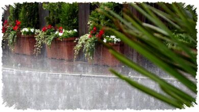 Demak-Klaten Bersiap Diguyur Hujan Lebat, BMKG Ingatkan Risiko Banjir dan Longsor Demak-Klaten Bersiap Diguyur Hujan Lebat, BMKG Ingatkan Risiko Banjir dan Longsor