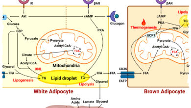 Diet Setelah Melahirkan Ala Citra Kirana, Turun 21 Kg Tanpa Siksaan