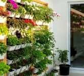 Edible Garden Bukan Sekadar Cantik, Lahan Sempit Pun Bisa Hemat Belanja Dapur