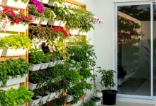 Edible Garden Bukan Sekadar Cantik, Lahan Sempit Pun Bisa Hemat Belanja Dapur