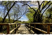 Ekowisata Tak Mampu Menebus Emisi Penerbangan, Narasi Hijau Ini Dinilai Menyesatkan?