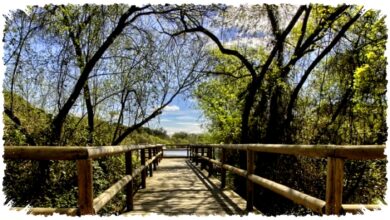 Ekowisata Tak Mampu Menebus Emisi Penerbangan, Narasi Hijau Ini Dinilai Menyesatkan?