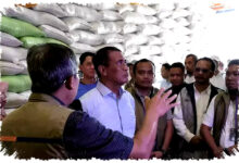 El Nino Godzilla Mengintai, Indonesia Pasang Perisai Pangan Terkuatnya El Nino Godzilla Mengintai, Indonesia Pasang Perisai Pangan Terkuatnya